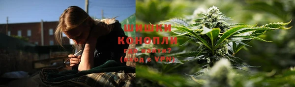 шишки Балахна