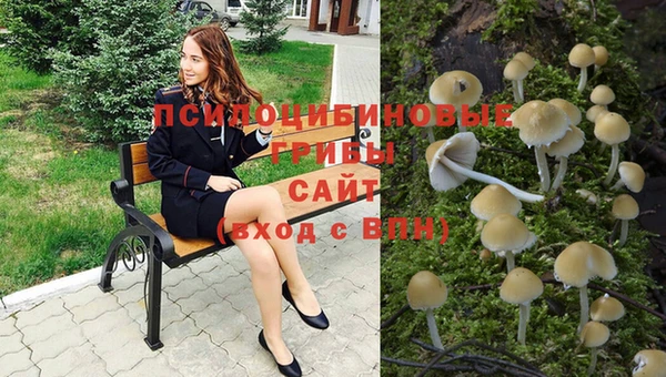 хмурый Арсеньев