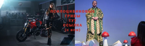 хмурый Арсеньев