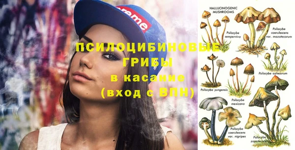 ГАЛЛЮЦИНОГЕННЫЕ ГРИБЫ Сатка
