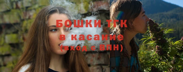 шишки Балахна