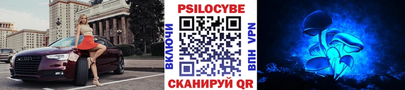 продажа наркотиков Кировск Галлюциногенные грибы мухоморы